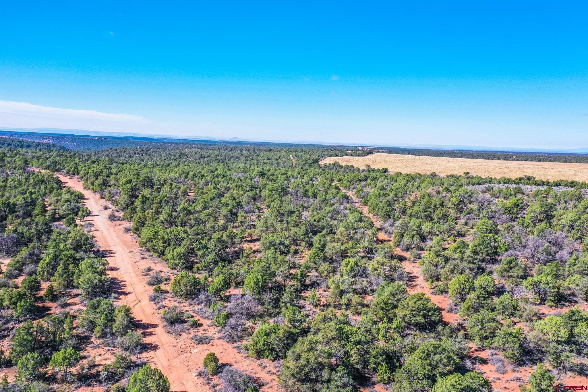 10692 Rd BB, Unit 11 Yellow Jacket, CO 81335 - Photo 4 of 23 a view of a large green field with lots of bushes