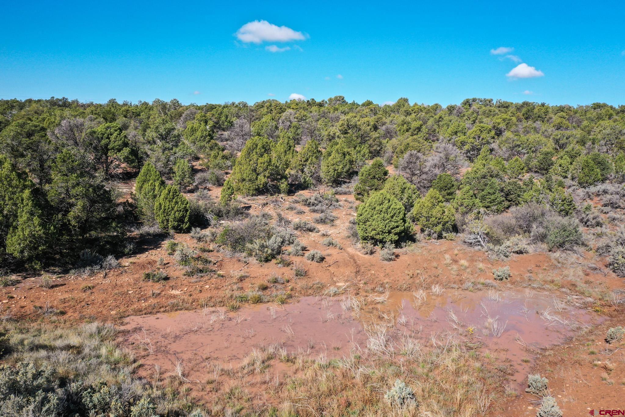 10692 Rd BB, Unit 11 Yellow Jacket, CO 81335 - Photo 7 of 23 a view of a dry yard with trees in the background