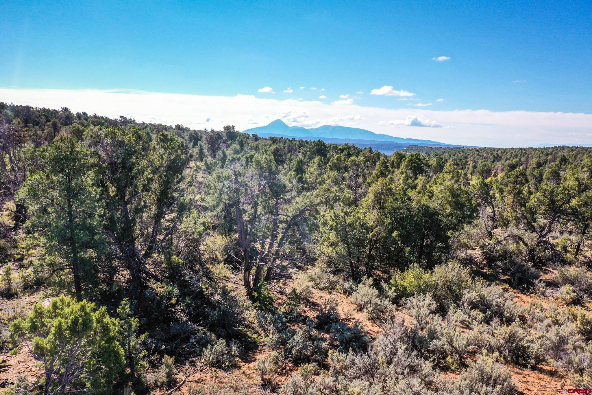 10692 Rd BB, Unit 11 Yellow Jacket, CO 81335 - Photo 8 of 23
