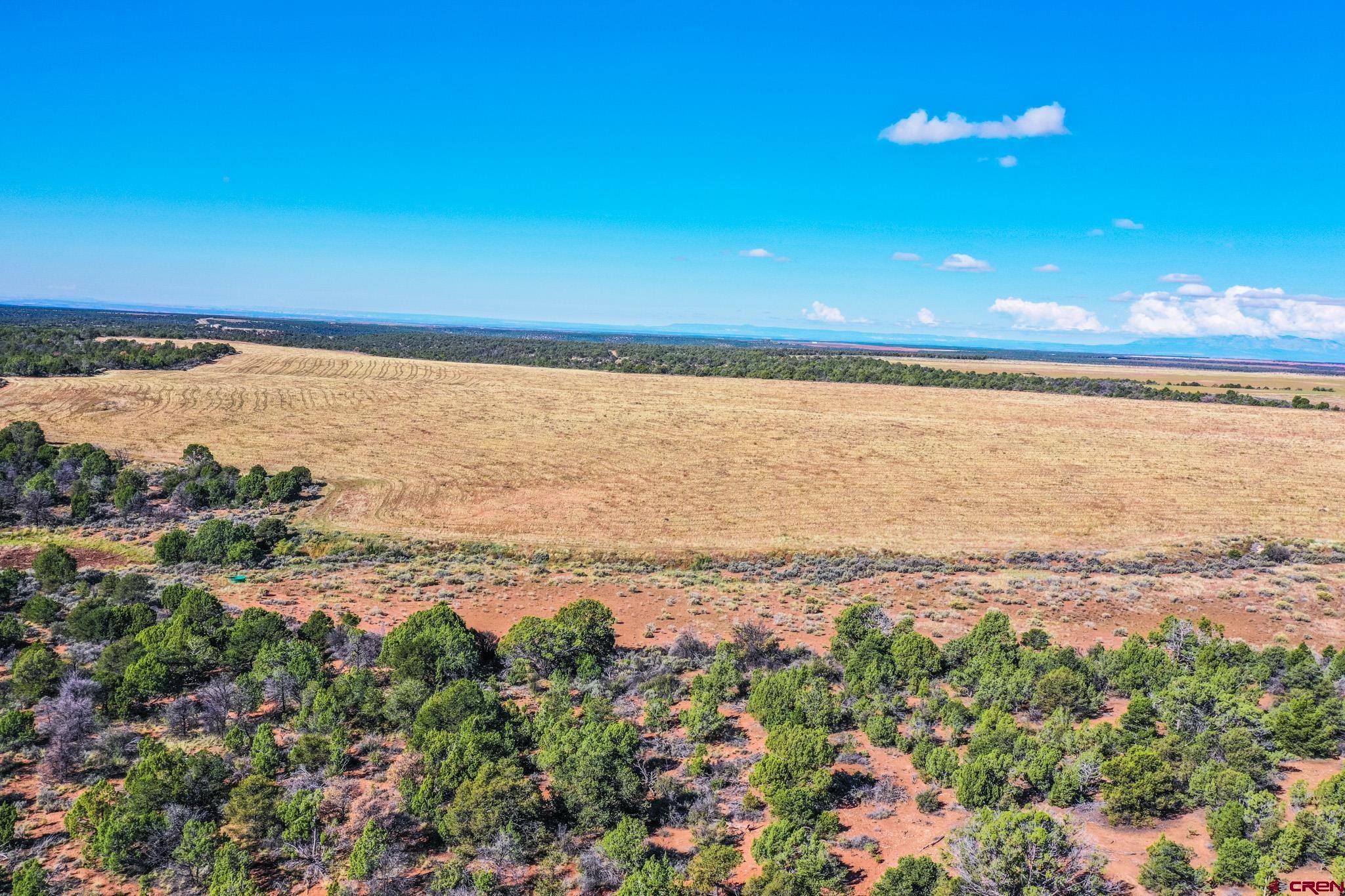 10692 Rd BB, Unit 11 Yellow Jacket, CO 81335 - Photo 9 of 23 a view of an ocean and beach