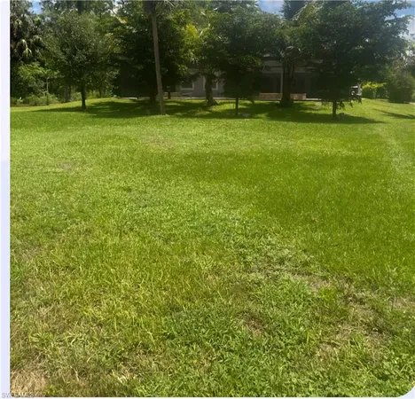 a backyard of a house with lots of green space