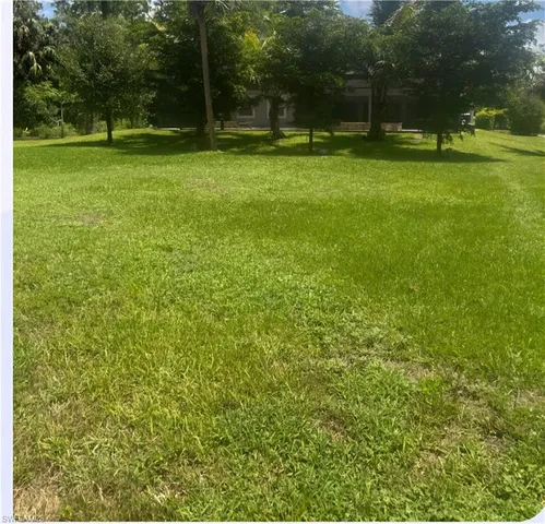 a backyard of a house with lots of green space