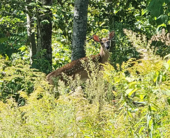 $500,000 | 94 Brown Hill Road, Bow, NH 03304