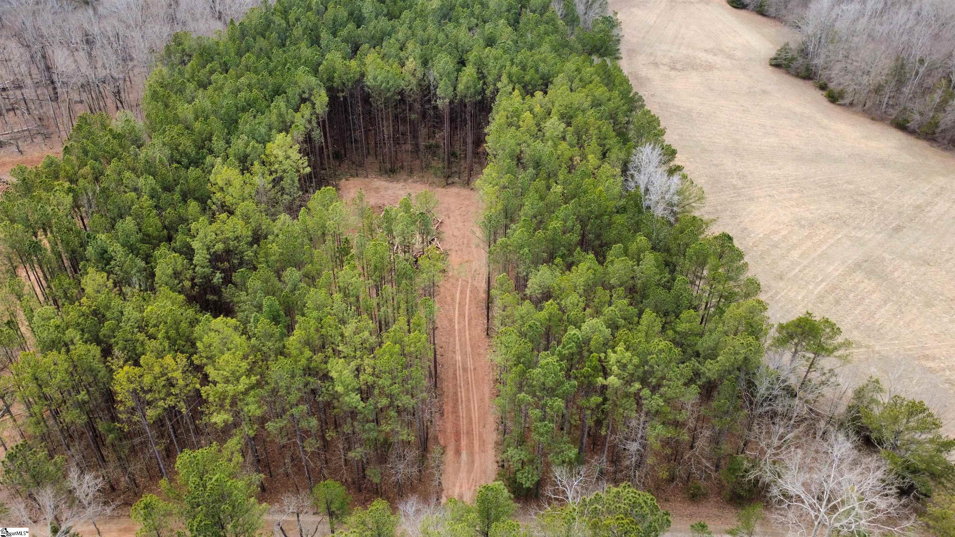 468 Acker Road Donalds, SC 29638 - Photo 2 of 3