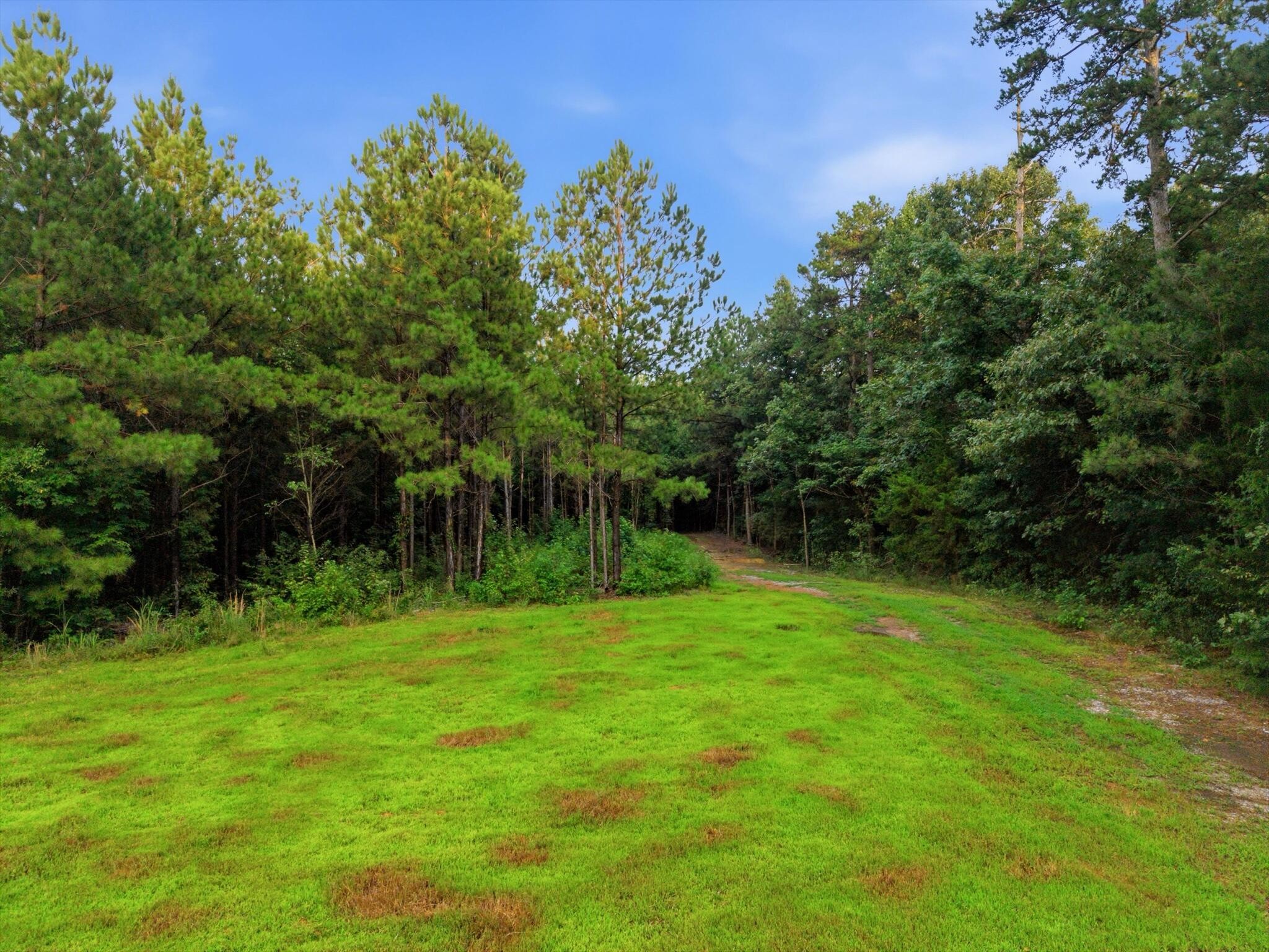 0 Washboard Road Southeast Old Fort, TN 37362 - Photo 11 of 12 Gallery Image 11
