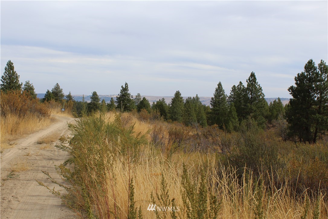-nna Union Valley Road Chelan, WA 98816 - Photo 8 of 10 Gallery Image 8