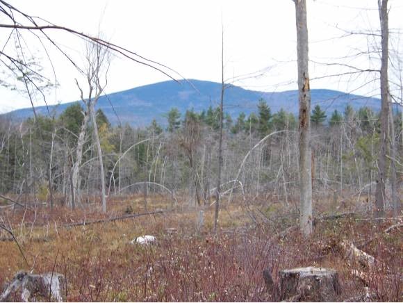 0 Seamans Road New London, NH 03257 - Photo 1 of 1 Gallery Image 1