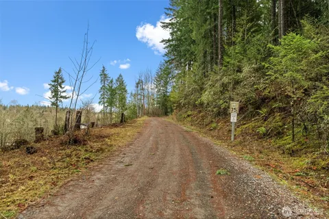 a view of a yard with trees