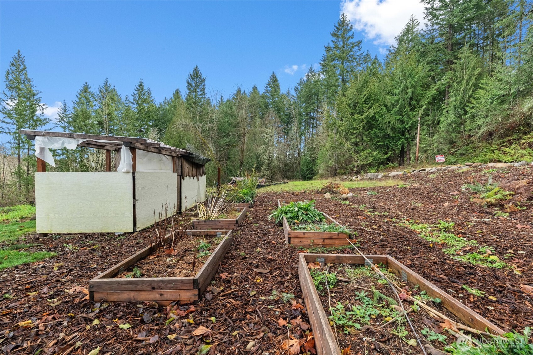 18818 Slough Lane Southeast Yelm, WA 98597 - Photo 29 of 39 a view of a back yard on the side of the house