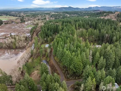 a view of a city with lush green forest