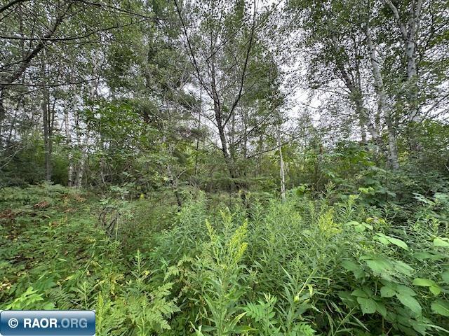 Xxx Xxx Victor Road Aurora, MN 55705 - Photo 12 of 19