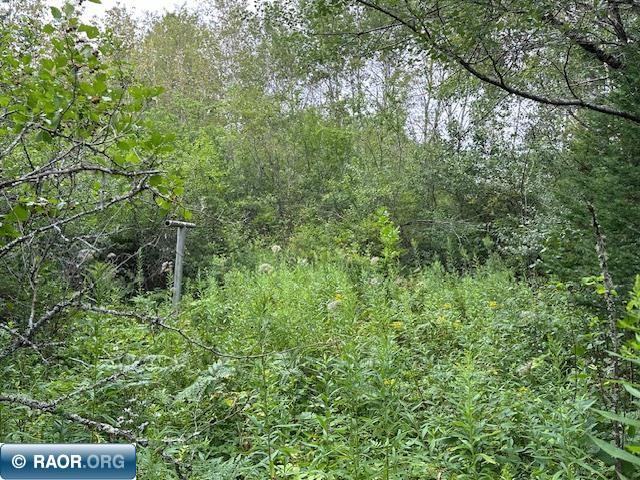Xxx Xxx Victor Road Aurora, MN 55705 - Photo 13 of 19