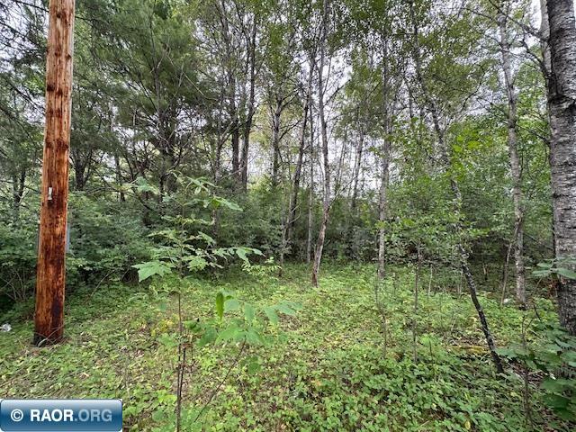 Xxx Xxx Victor Road Aurora, MN 55705 - Photo 14 of 19