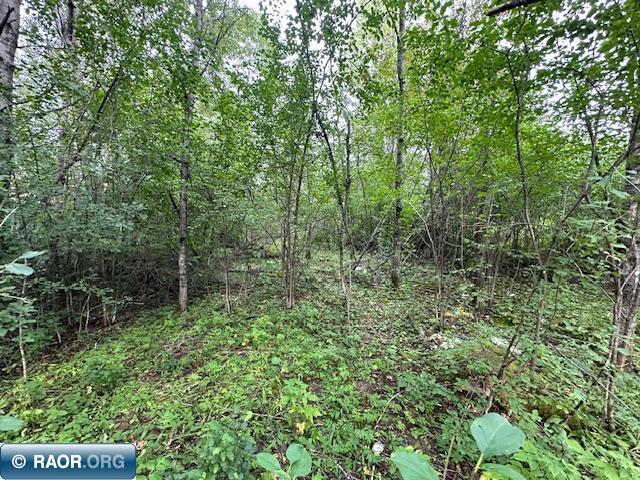 Xxx Xxx Victor Road Aurora, MN 55705 - Photo 15 of 19
