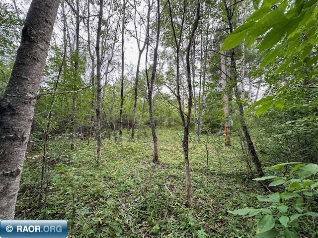 Xxx Xxx Victor Road Aurora, MN 55705 - Photo 16 of 19