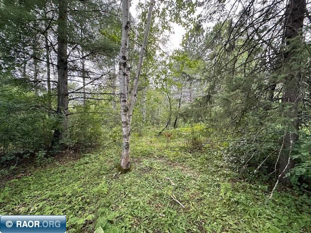 Xxx Xxx Victor Road Aurora, MN 55705 - Photo 17 of 19