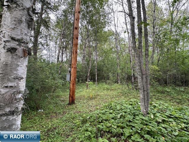 Xxx Xxx Victor Road Aurora, MN 55705 - Photo 2 of 19
