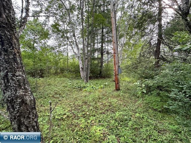Xxx Xxx Victor Road Aurora, MN 55705 - Photo 3 of 19