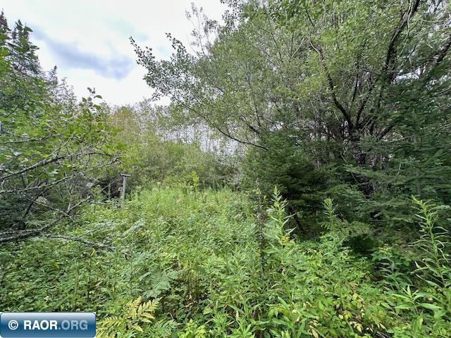 Xxx Xxx Victor Road Aurora, MN 55705 - Photo 5 of 19