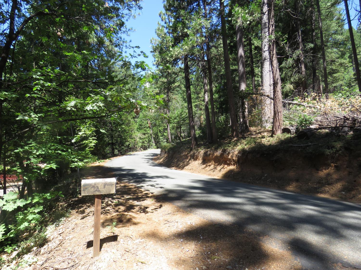 1881 Forebay Road Pollock Pines, CA 95726 - Photo 7 of 52 Gallery Image 7