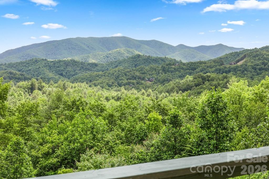 1188 Tobacco Branch Road Almond, NC 28702 - Photo 35 of 45