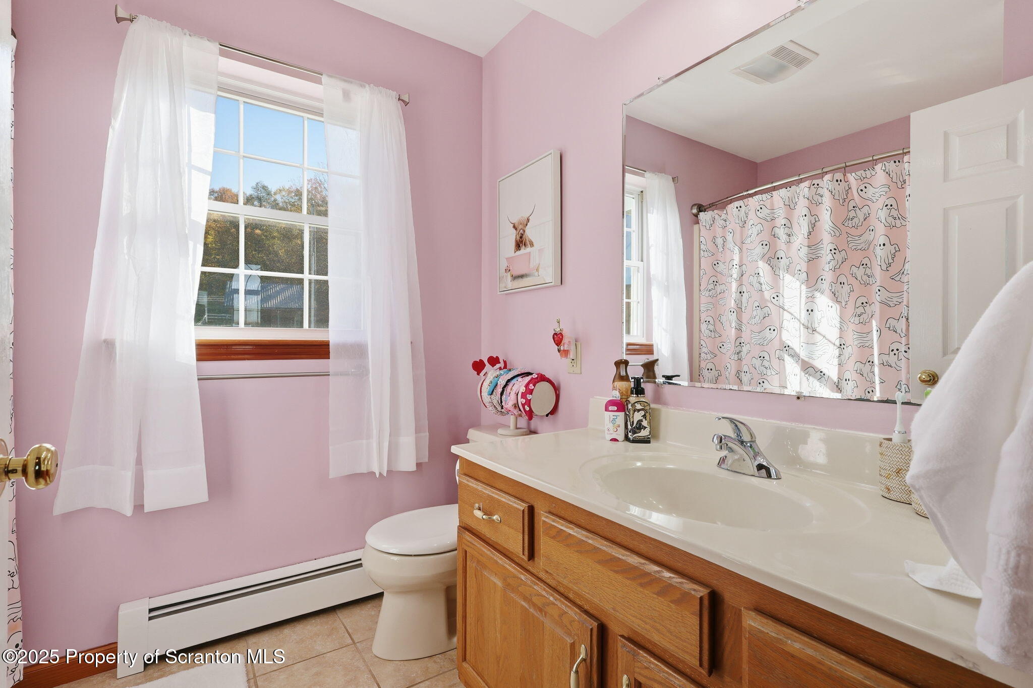 918 Jones Road Union Dale, PA 18470 - Photo 41 of 65 a bathroom with a sink a toilet and a window