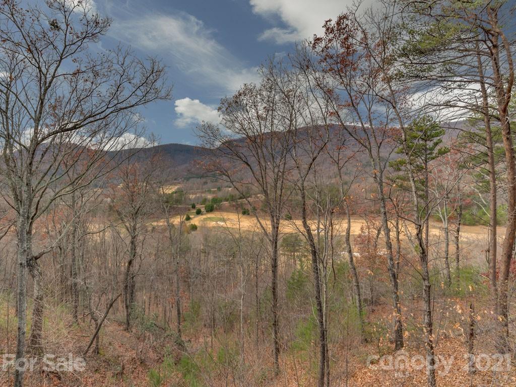 995 Deep Gap Farm Road East Mill Spring, NC 28756 - Photo 28 of 47 a view of a forest filled with trees