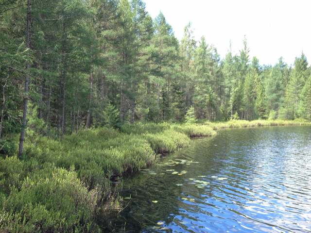 146-ac River Road Manitowish Waters, WI 54545 - Photo 18 of 20 Gallery Image 18