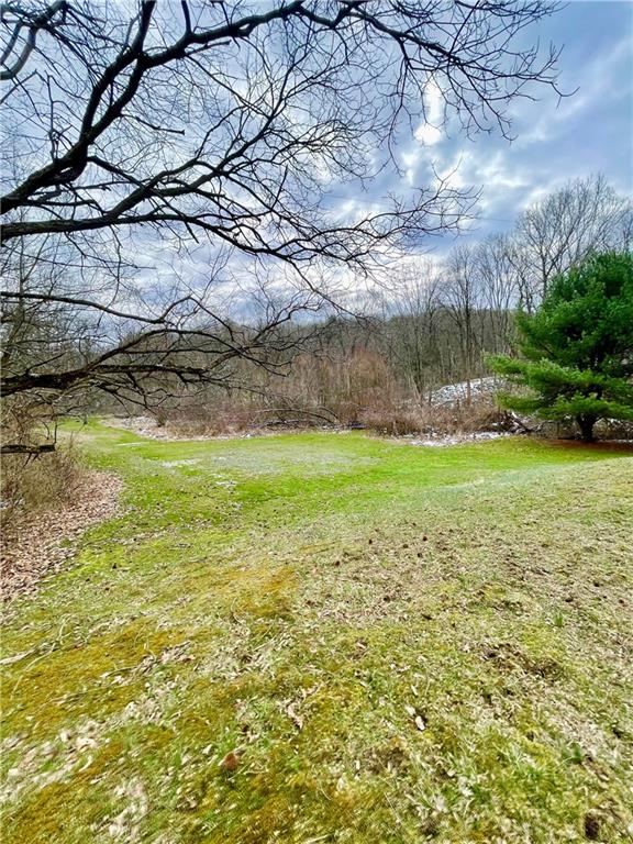 258 Sterling Road Darlington, PA 16115 - Photo 4 of 18