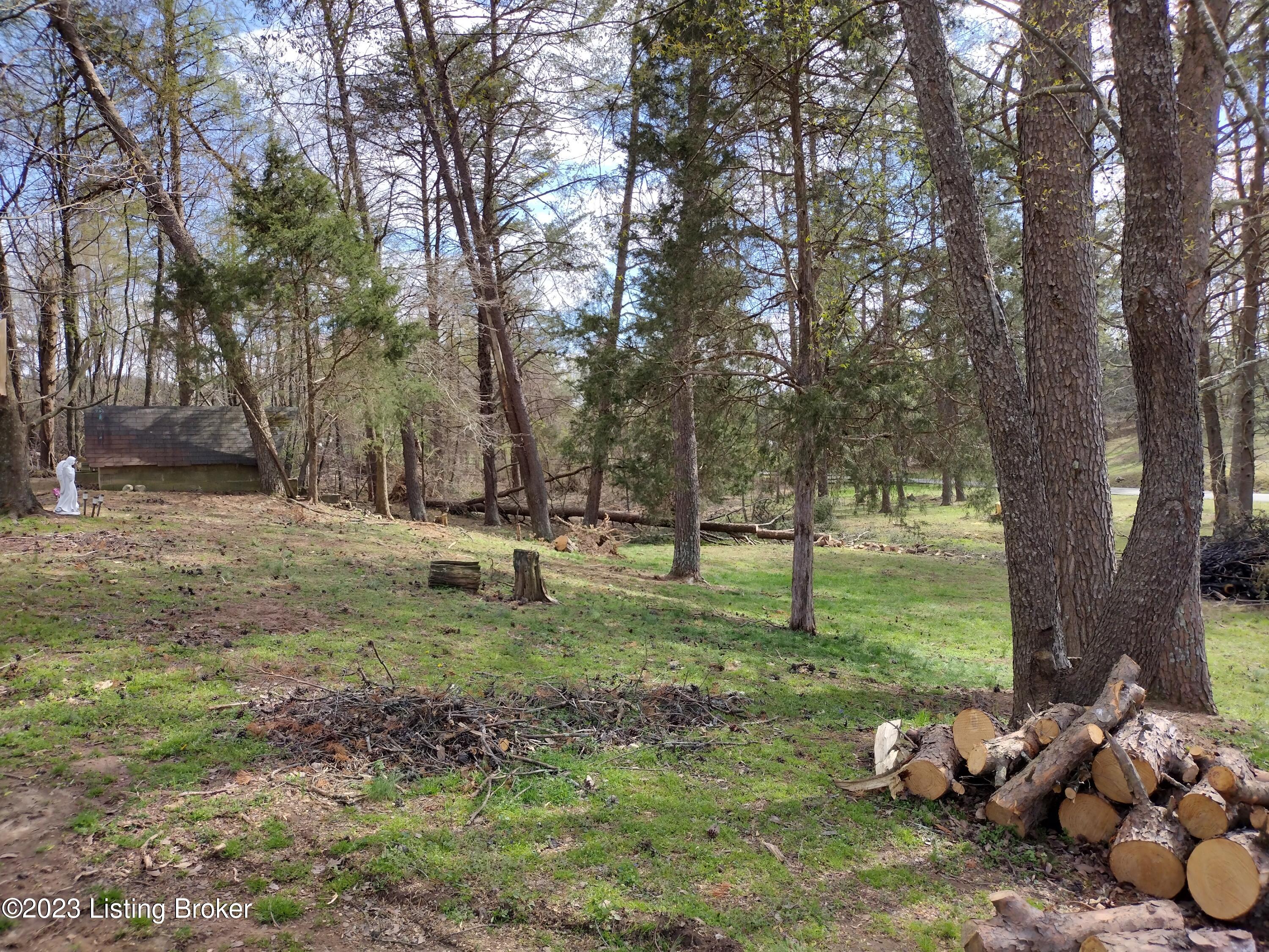 182 McCubbins Road Lebanon Junction, KY 40150 - Photo 22 of 23 Yard