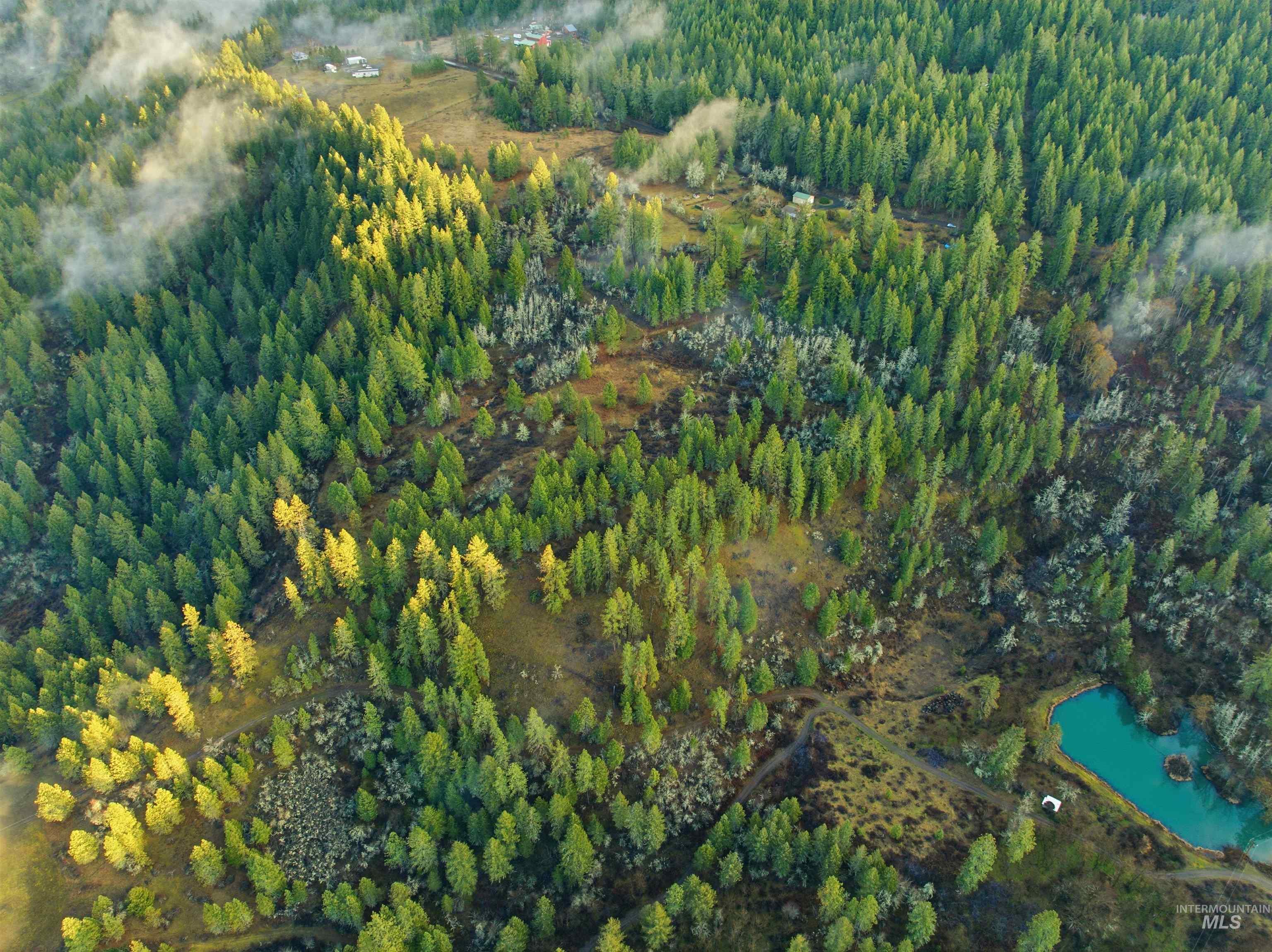 Aerial overview of property's location featuring a forest and a nearby body of water