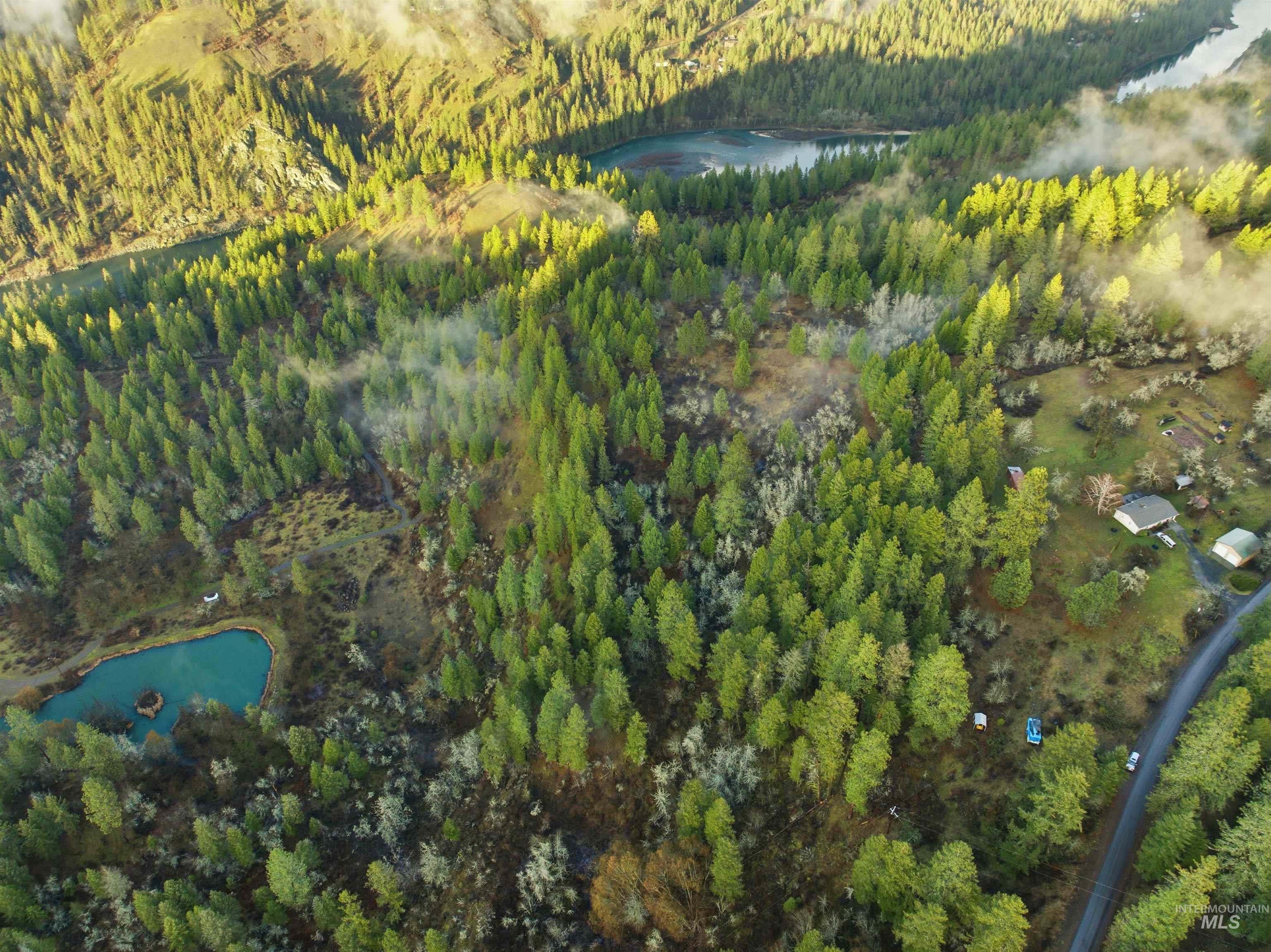 43705 Bobbitt Bench Road Peck, ID 83545 - Photo 3 of 11 Aerial view of property's location with a large body of water and a forest