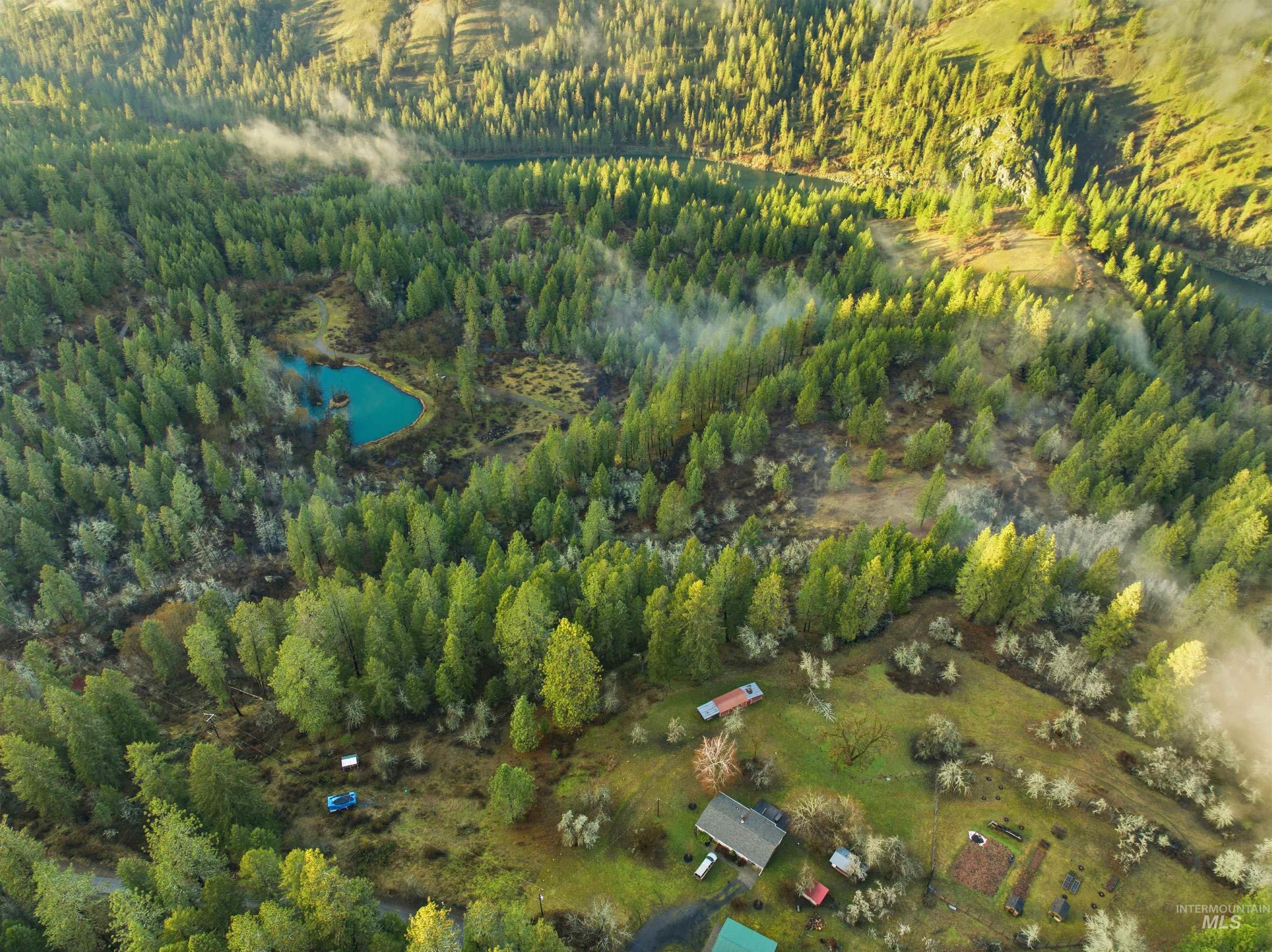 43705 Bobbitt Bench Road Peck, ID 83545 - Photo 5 of 11 Aerial view of a forest and a large body of water
