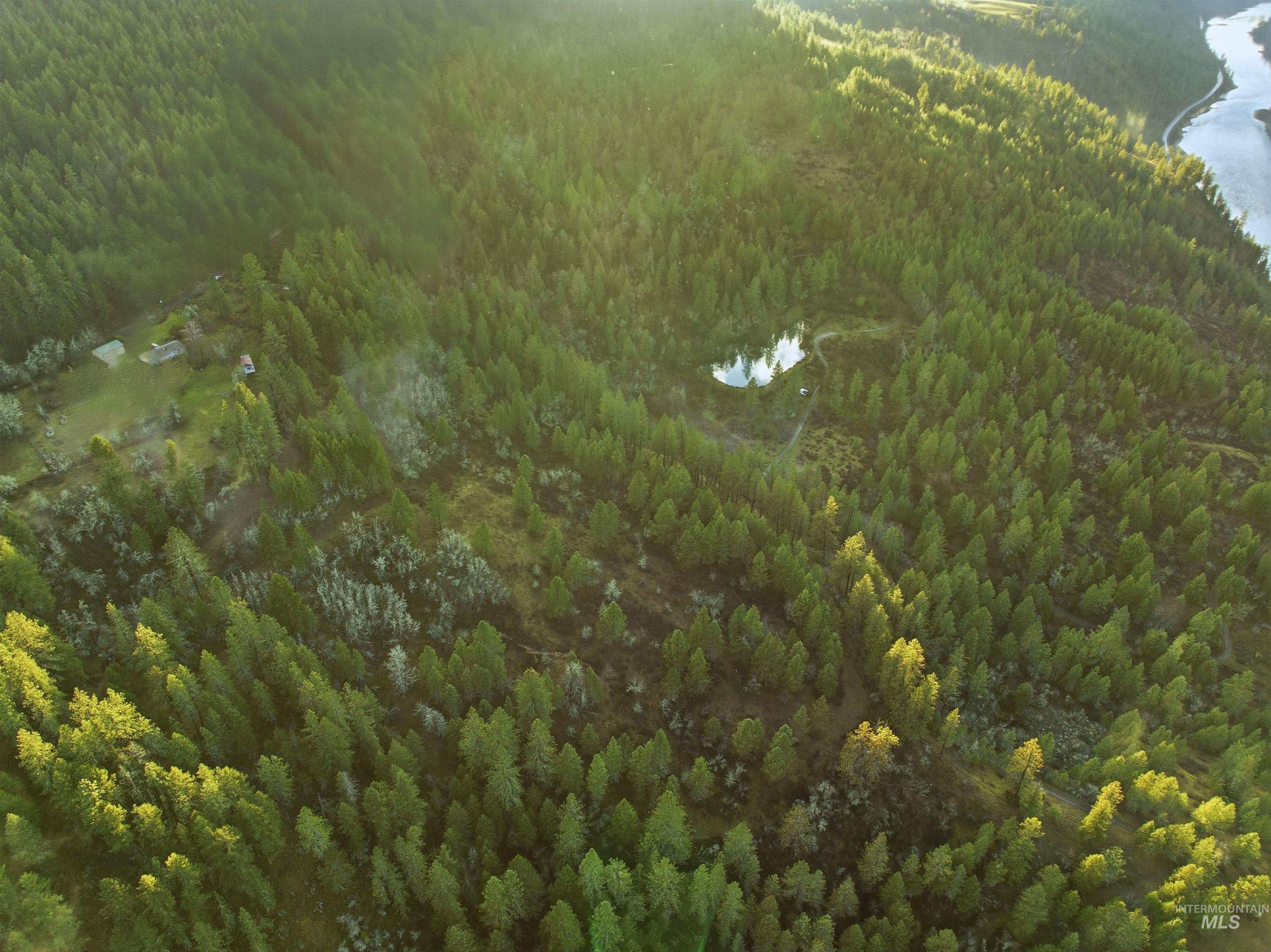 43705 Bobbitt Bench Road Peck, ID 83545 - Photo 7 of 11 Aerial overview of property's location featuring a heavily wooded area