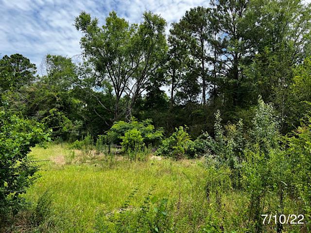 17 Hightower Road Phenix City, AL 36870 - Photo 1 of 4 Main View