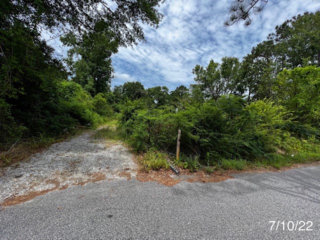 17 Hightower Road Phenix City, AL 36870 - Photo 3 of 4