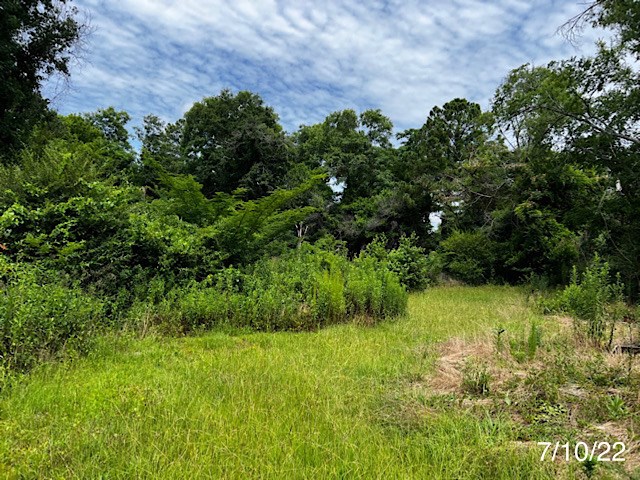 17 Hightower Road Phenix City, AL 36870 - Photo 4 of 4