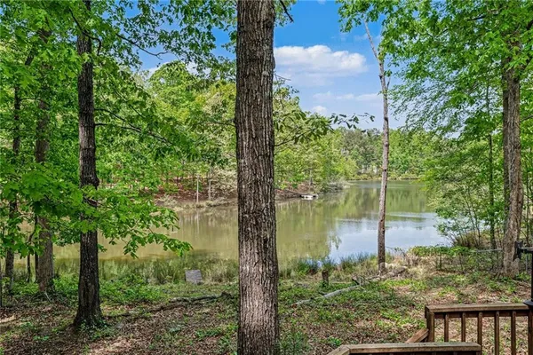 a lake view with large trees