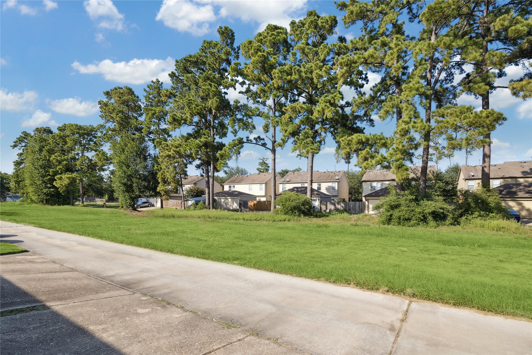 23634 Wildwood Green Way Spring, TX 77373 - Photo 13 of 14 a view of a park with large trees