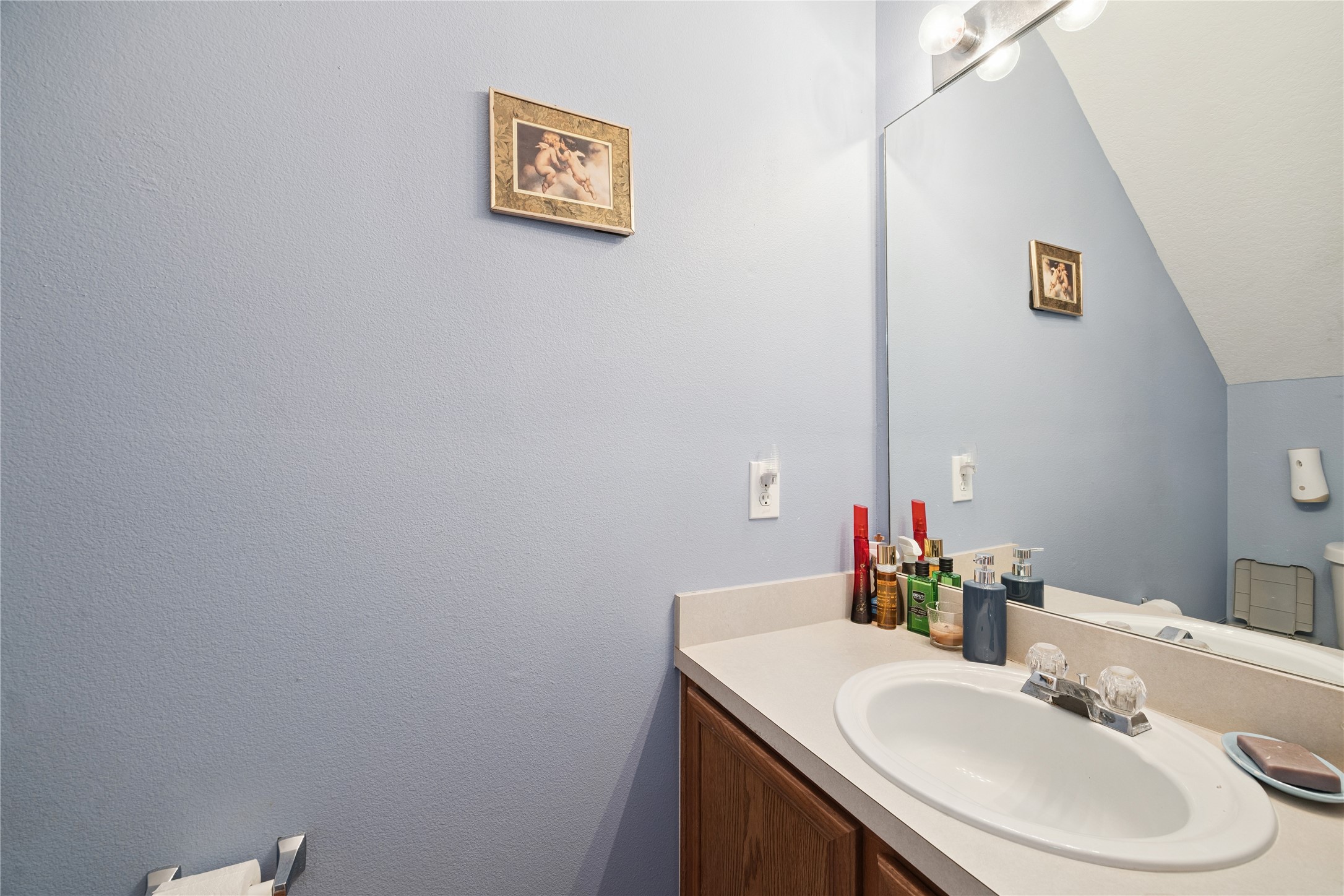 23634 Wildwood Green Way Spring, TX 77373 - Photo 5 of 14 a bathroom with a sink and a mirror