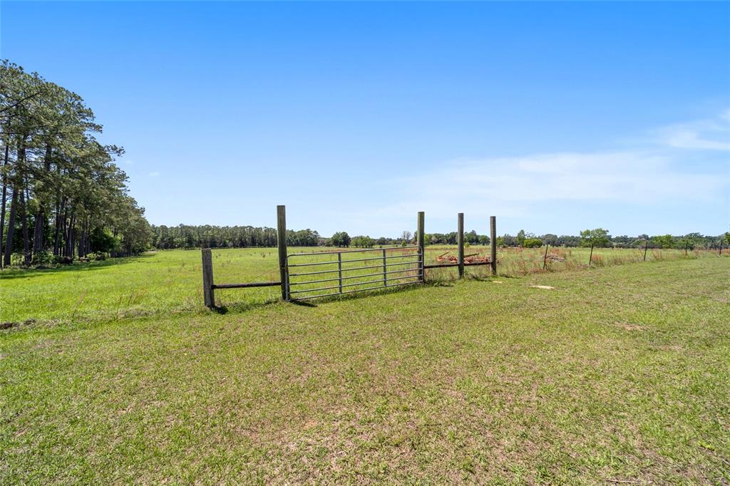 19355 Southwest 25th Place Dunnellon, FL 34431 - Photo 13 of 73 a view of a field with grass