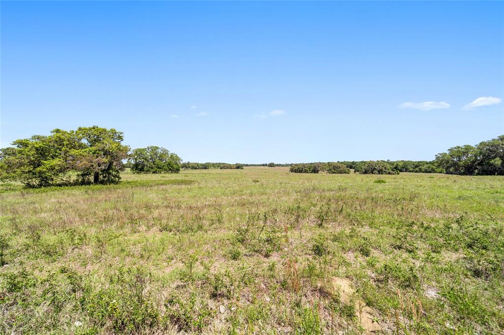 19355 Southwest 25th Place Dunnellon, FL 34431 - Photo 16 of 73 a view of an ocean