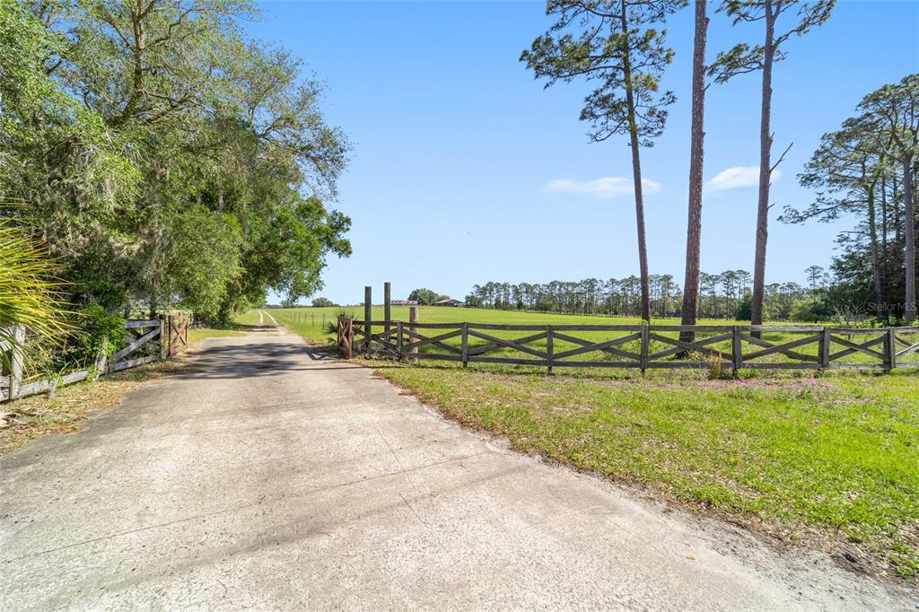 19355 Southwest 25th Place Dunnellon, FL 34431 - Photo 34 of 73 a view of a yard with palm trees