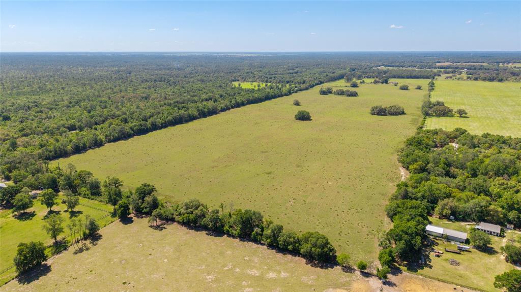 19355 Southwest 25th Place Dunnellon, FL 34431 - Photo 8 of 73
