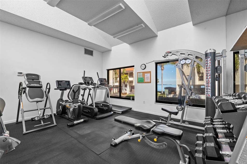 138 1st Street East, Unit 106 Tierra Verde, FL 33715 - Photo 39 of 62 a view of a room with gym equipment