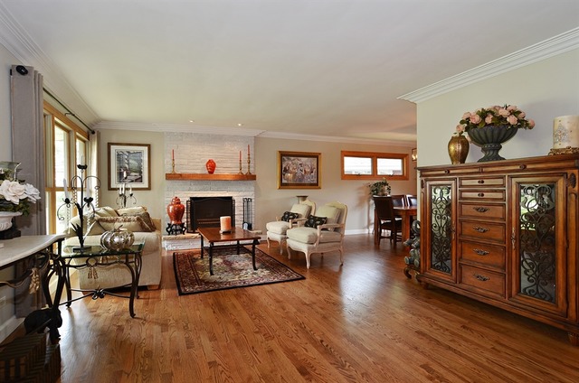 1341 South Knight Avenue Park Ridge, IL 60068 - Photo 2 of 10 a living room with furniture and fireplace