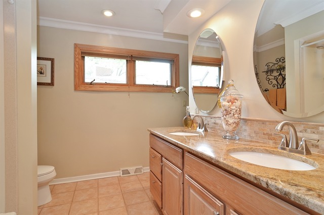 1341 South Knight Avenue Park Ridge, IL 60068 - Photo 8 of 10 a bathroom with a granite countertop sink toilet and mirror