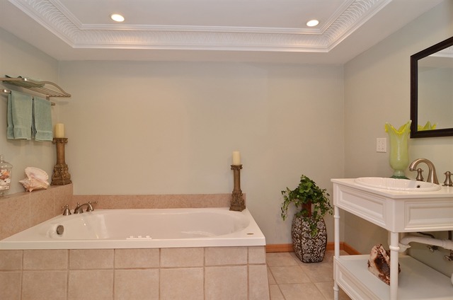 1341 South Knight Avenue Park Ridge, IL 60068 - Photo 9 of 10 a bathroom with a bathtub and a sink