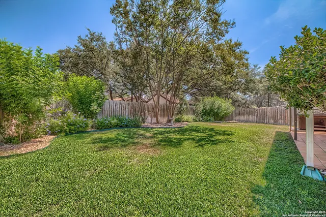 a view of a backyard with large trees