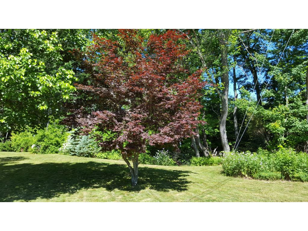 7 Leblanc Road Fremont, NH 03044 - Photo 20 of 21